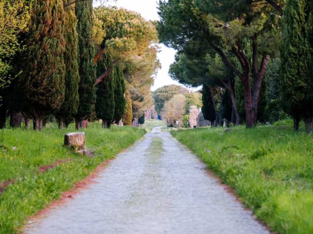 Assistenza PC Appia Pignatelli