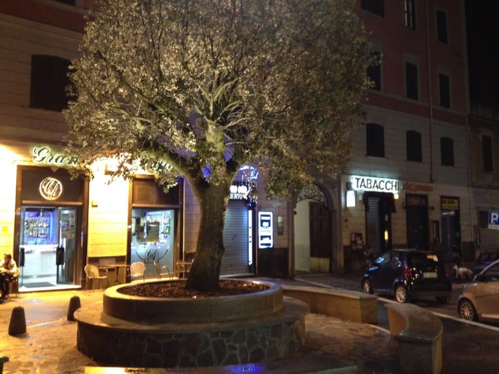 Assistenza PC Alberone