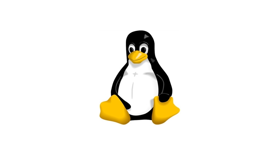 Da Windows a Linux